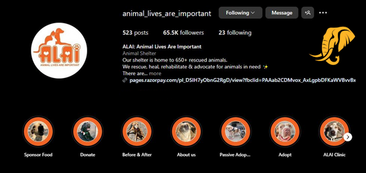UPCOMING DONATION to Animal Lives Are Important - August 2024 - Contour Eco