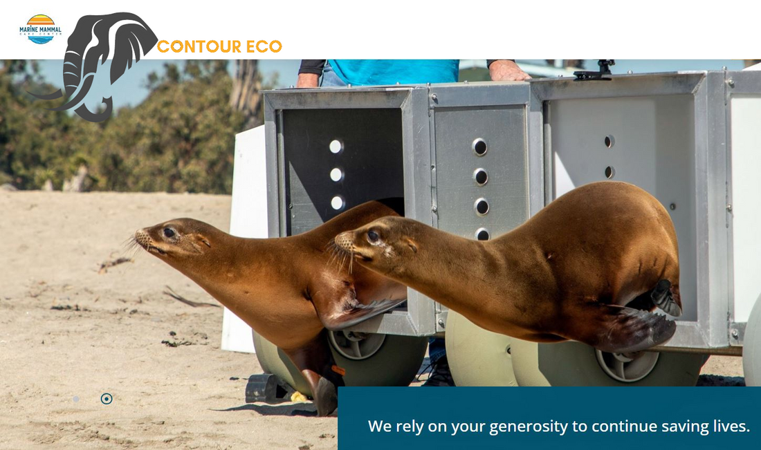 Donation to Marine Mammal Care Center - August 2023 - Contour Eco