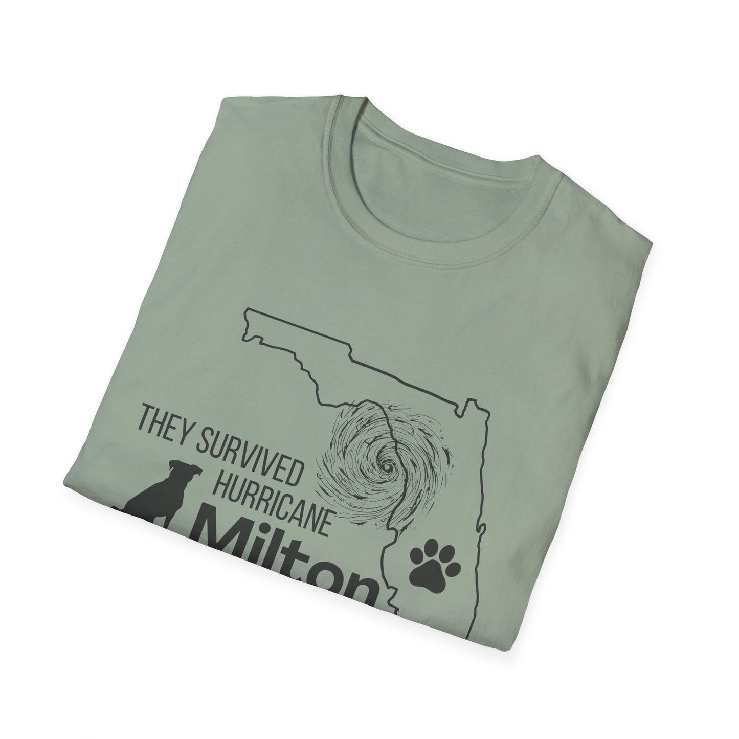 They Survived Hurricane Milton T-Shirt