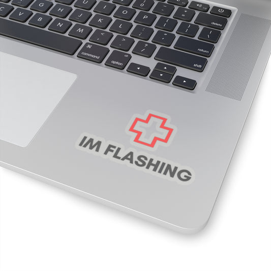 DayZ "I'm Flashing" Stickers