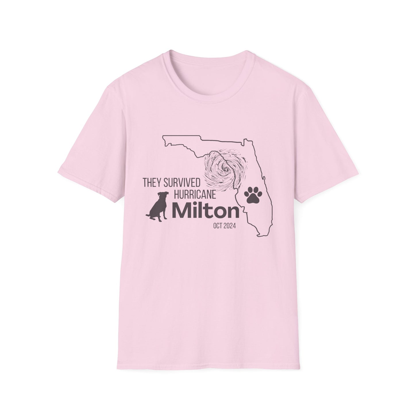 They Survived Hurricane Milton T-Shirt