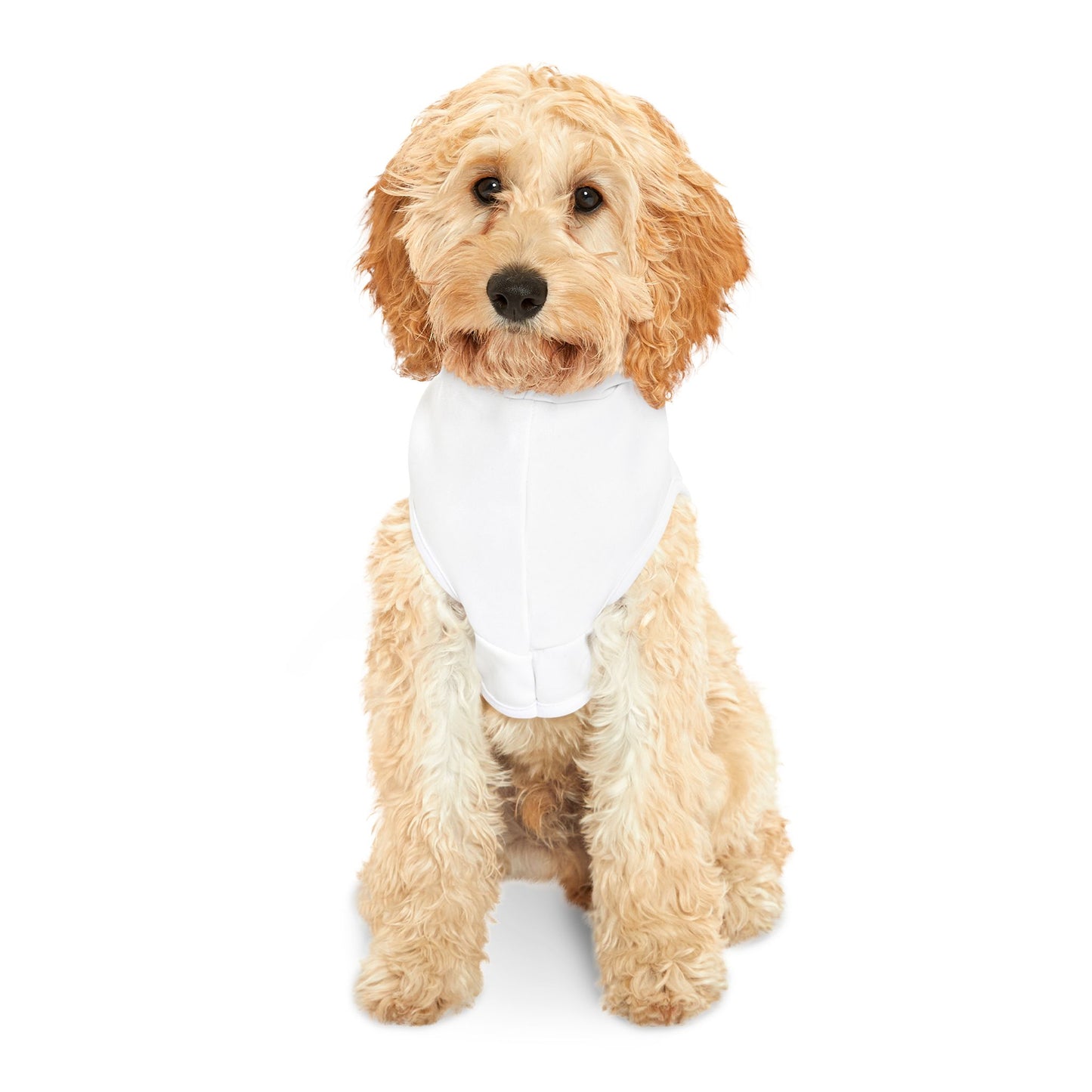 Contour Eco Pet Hoodies