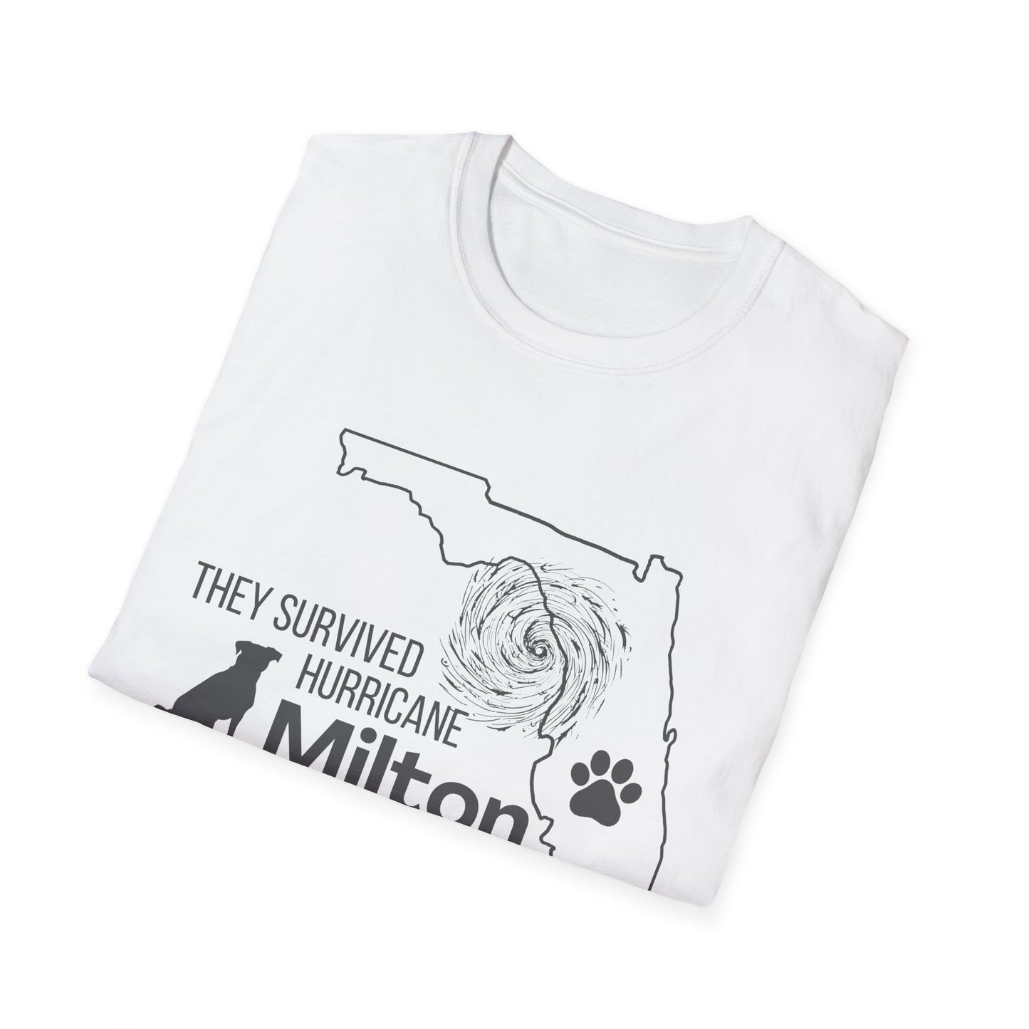 They Survived Hurricane Milton T-Shirt