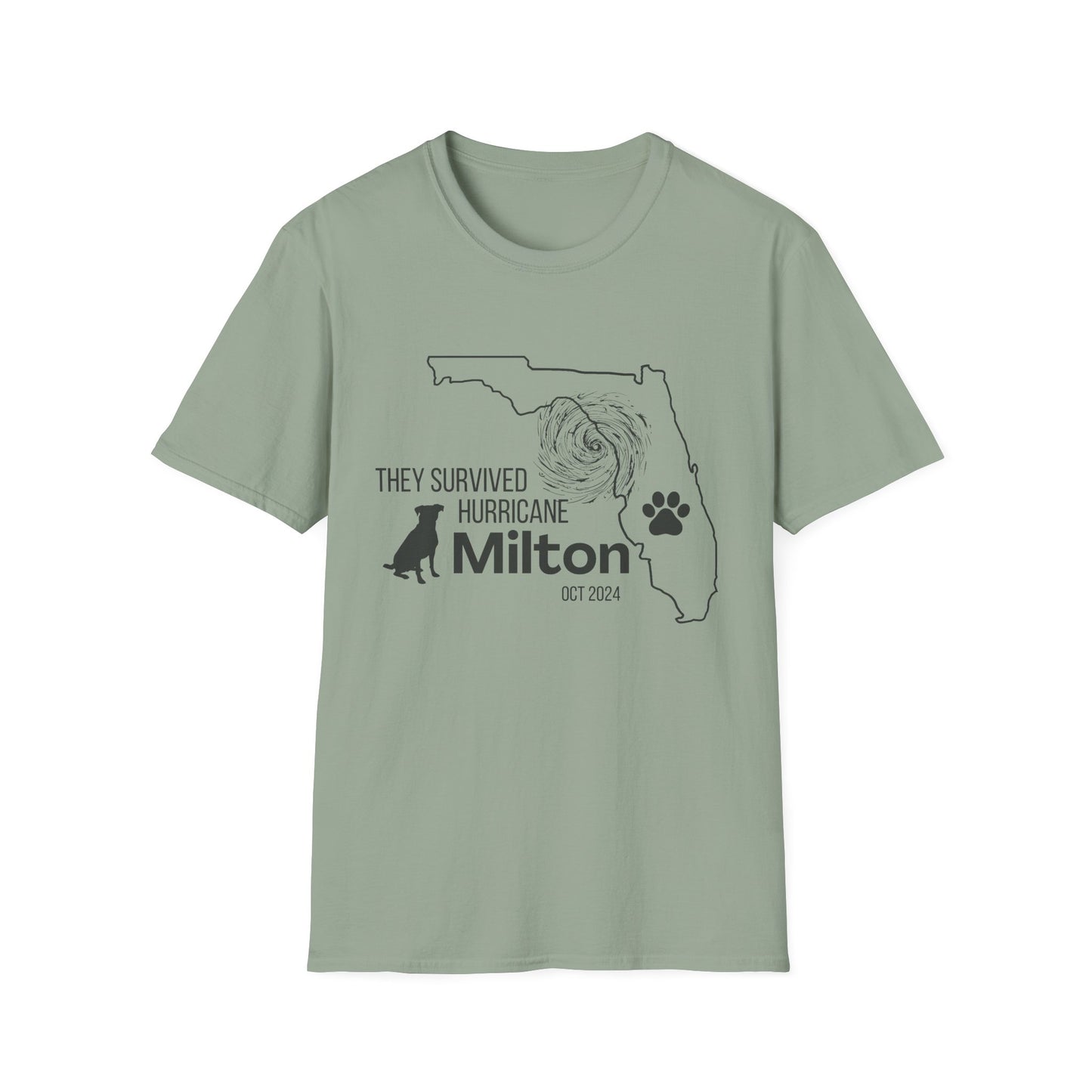 They Survived Hurricane Milton T-Shirt