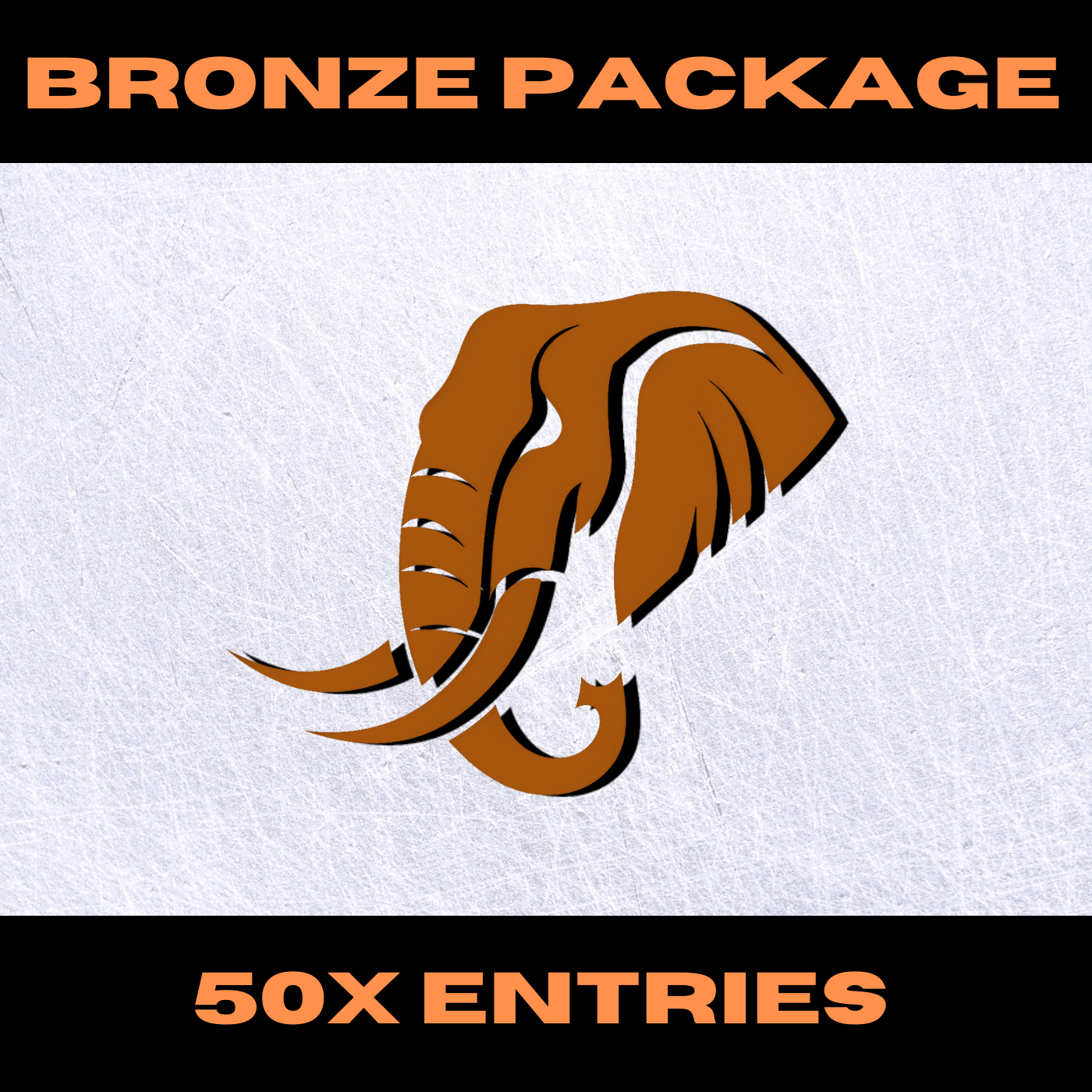 BRONZE QUICK ENTRY PACKAGE